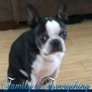 Meet your Posher, Denise